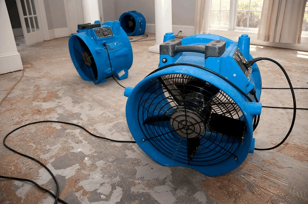 Professional restoration equipment
