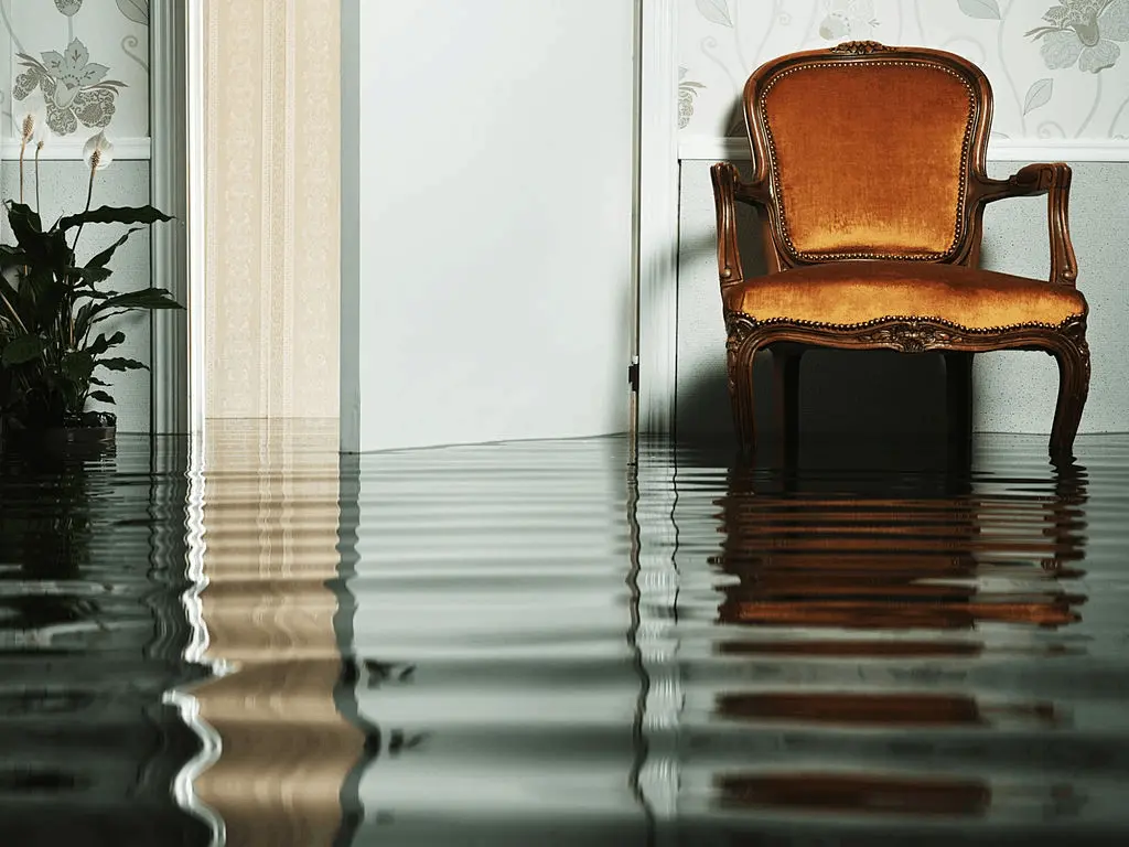 iDry Auckland response team resources